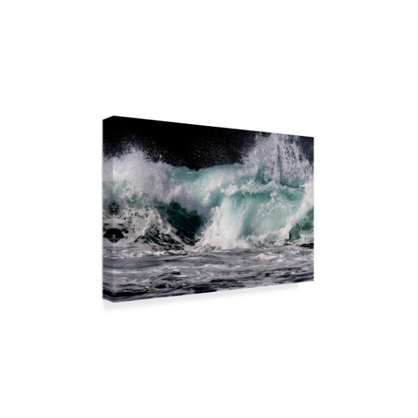 Beata Czyzowska Young 'Shapes Of The Ocean' Canvas Art,12x19